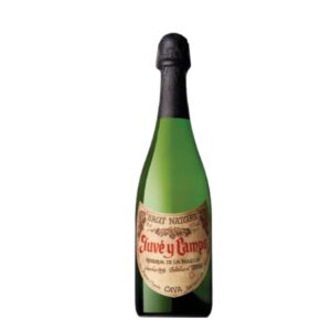 JUVE CAMPS RESERVA DE FAMILIA BRUT 750ML